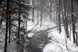 winter stream with snow on the ground